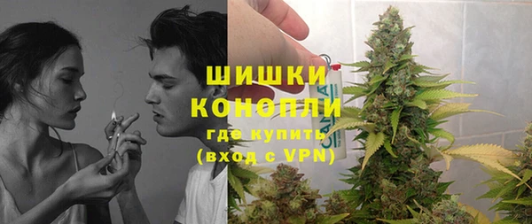 молекула духа Бородино