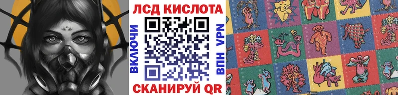 где купить наркотик  Петропавловск-Камчатский  KRAKEN как зайти  Марки 25I-NBOMe 1500мкг 