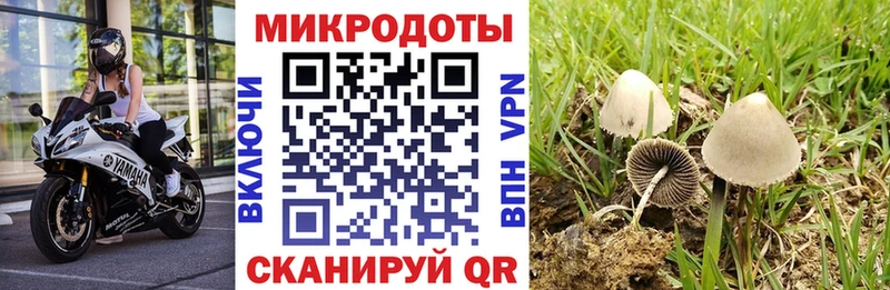 Галлюциногенные грибы прущие грибы  наркошоп  Петропавловск-Камчатский 